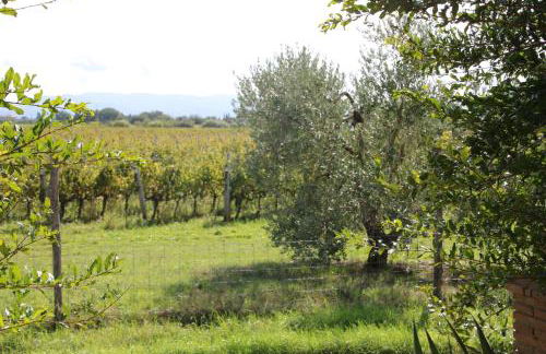 Podere Campo alle Serpi - Foto 48