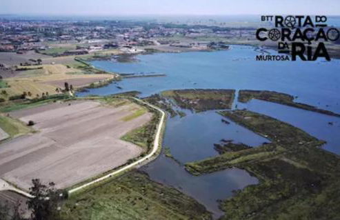 O CANTINHO DA RIA - JACUZZI with water at 35 degrees and POOL - Foto 48
