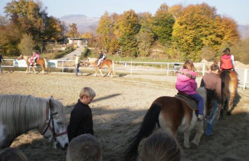 Apartman Kamenar - Foto 19