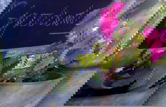 Agriturismo Sa Tanca - Photo 34