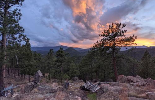 Bear Cabin - 10 Acres - Hot Tub - Foto 16