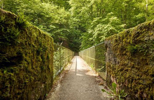 Ferienwohnung "Alte Pleiner Mühle" - Foto 15