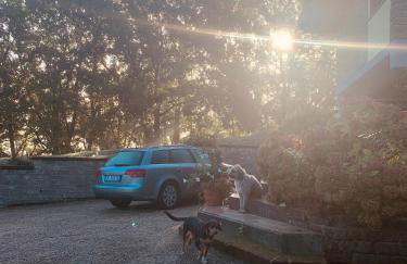 Alloggio da Fazanca - Foto 26