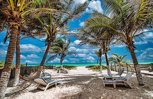 Location Location Location Best Beachfront Spot in El Cuyo With Stunning Views - Photo 28