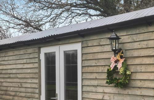 Badgers - Uk46750 - Foto 16