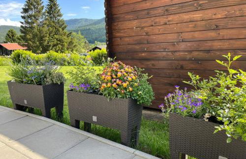 FeWo Astrid Aschenbrenner - Foto 16