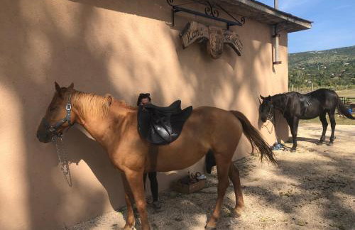 Hideaway Stonehouse pool for 2 Dalmatia Imotski - Foto 60