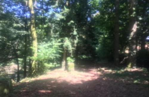 Unique & serene 1-Bed Cabin close to Domfront - Foto 12