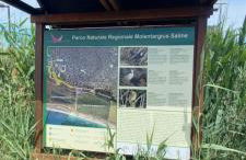 Trilocale Margine Rosso - Foto 49