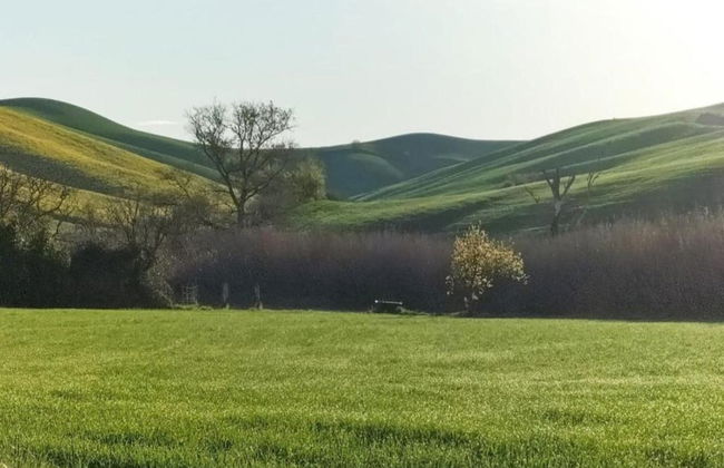 Tuscany Family Country Home - Photo 37