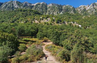 The Strawhouse under the mountain - Foto 54