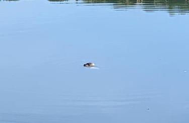 The Barn at Whitehouse Farm 18th century 3 bed Barn- Beautifully converted - Foto 16