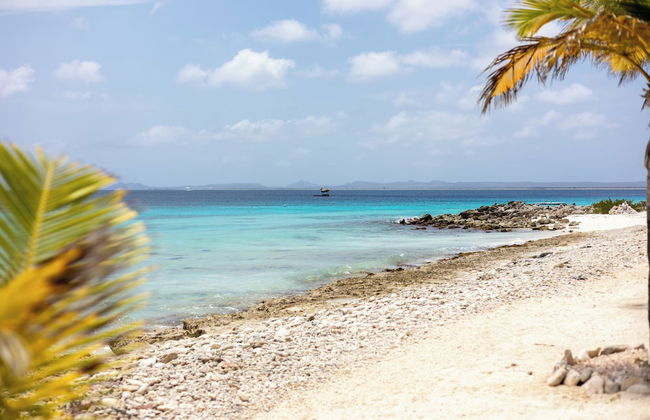 Light House Beach house with Ocean View - Foto 41