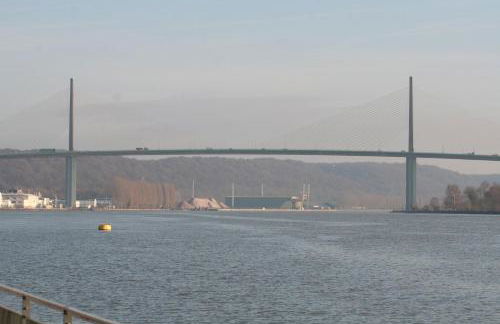 Les Hellebores - Foto 68