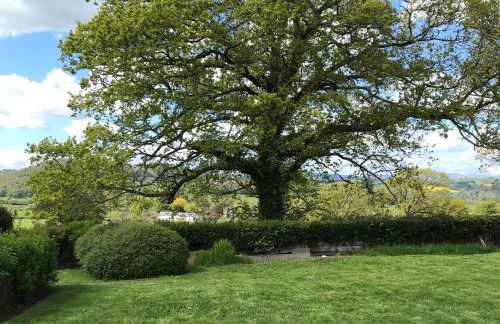 Berwyn View - Photo 39