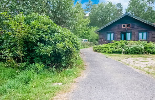 Halfway Between Near Nature Park - Foto 23