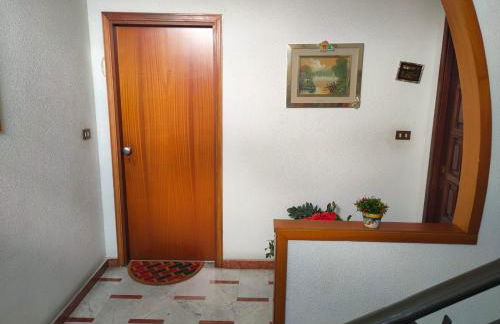 Il tulipano - Foto 14