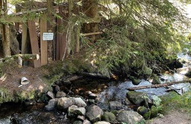 Chalet 22 Bernau - Foto 37