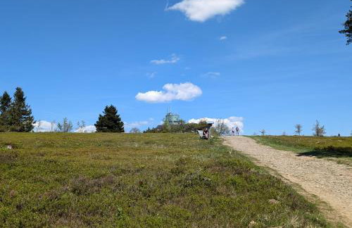 Weitblick Winterseite - Photo 10