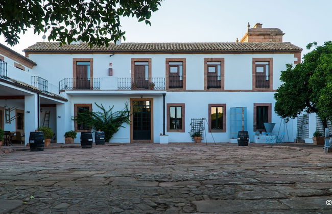 Molino la Nava - Foto 52