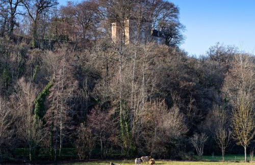 Gite de la source du Touron - Foto 20