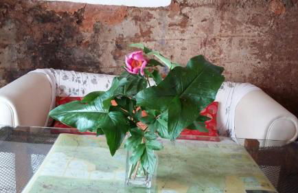 CASA DE DOÑA MARIA VALDELARCO - Foto 24