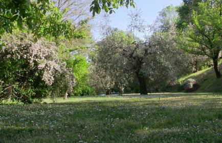 Agriturismo Frallarenza - Foto 38