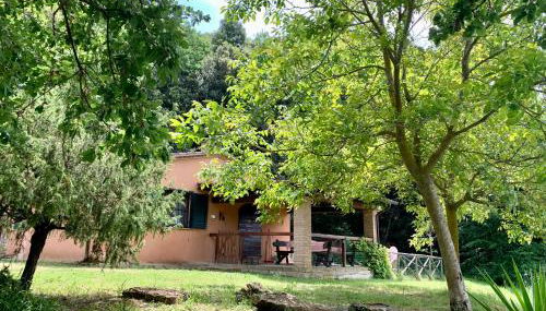 Agriturismo Fattoria La Prugnola - Foto 4, Garden