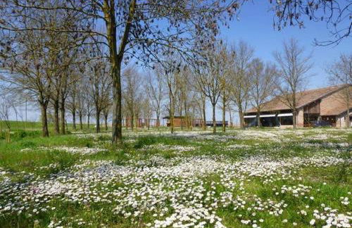 La Tomina - Photo 16