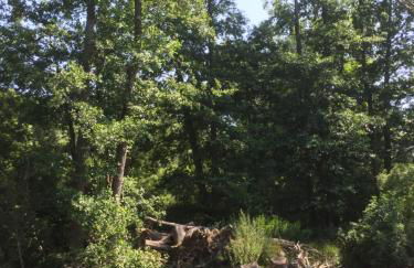 Herrenhaus Hohewarte - Foto 33