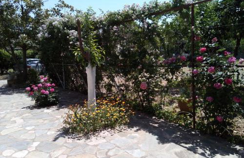 Studios Akrogiali - Photo 19