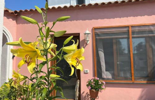 Casetta Ischia - Photo 2