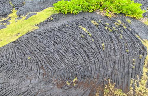 Paradise Park Newly built studio with king bed - Photo 15