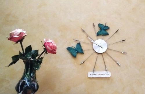 Entre terre et Ocean - Photo 43