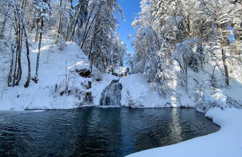 Eibele Chalets - Foto 20