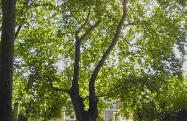 Camping Orpheus Apartments - Foto 40