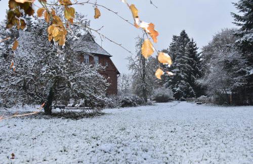 Ferienwohnung ehemalige Revierförsterei "uns Lütt" - Photo 28