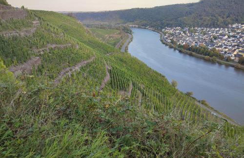 Rheinuferhaus - Foto 47