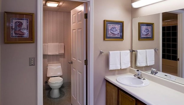 Little Pigeon River 602 2BD Condo with Private Balcony by RedAwning - Foto 2, Habitación