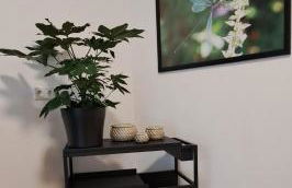 Waldstadt-Apartments - Foto 10