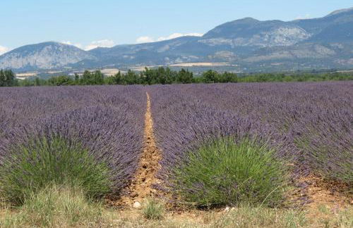 Le gite du grand cèdre - proche des gorges du Verdon - Foto 22