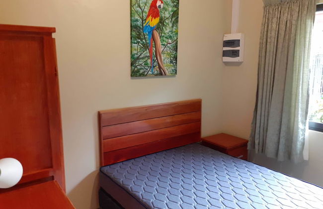 Max Garden and Pool - Photo 3