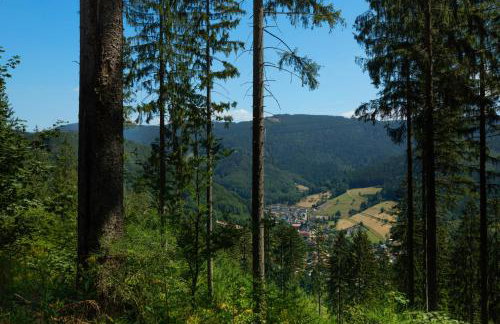 Sagenhafter Ausblick - Foto 32