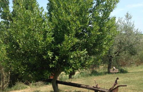 Teruzzi Country House - Foto 5