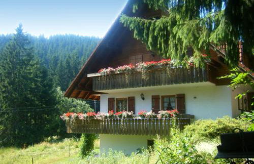 Waldhuesli Feldberg Gartengeschoss - Photo 25