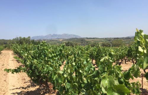 Masia Can Canyes & Spa - Photo 116