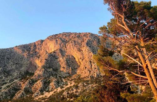 Villa Lasta - Photo 41