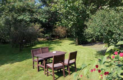 Las Navedas - Foto 47