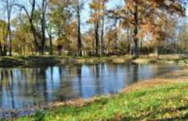 Pleasant Grove Farm LLC - Foto 54