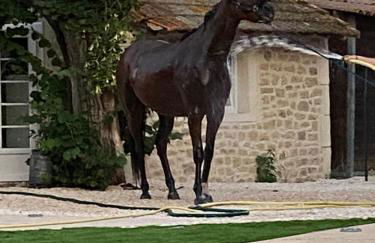 Gite Provençal du Mas Arnaud - Foto 29